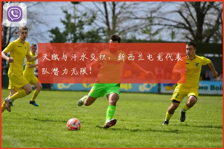 天赋与汗水交织，新西兰电竞代表队潜力无限！
